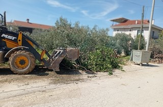 Gemlik’te Bahar Temizliği
